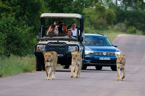 met de auto door Zuid-Afrika